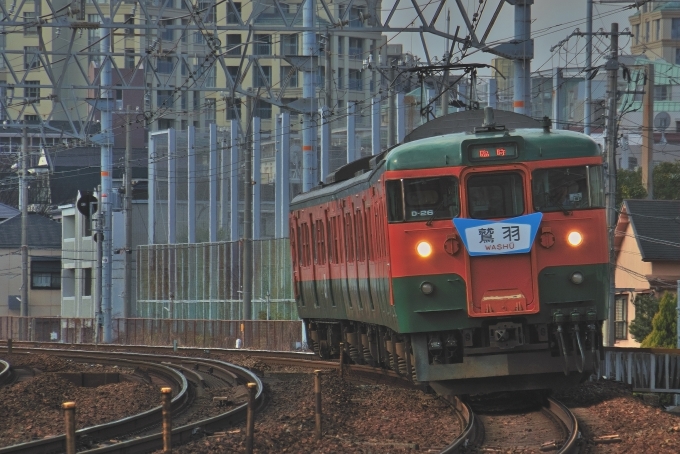 鉄道乗車記録の写真:旅の思い出(3)        「リバイバル急行「鷲羽」です。115系湘南色で運行されて、団体臨時列車扱いです。」
