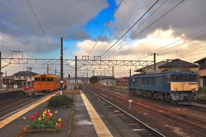 鉄道乗車記録の写真:乗車した列車(外観)(1)          「乗車した列車。115系G02編成です。
クモハ115-1505に乗車しました。」
