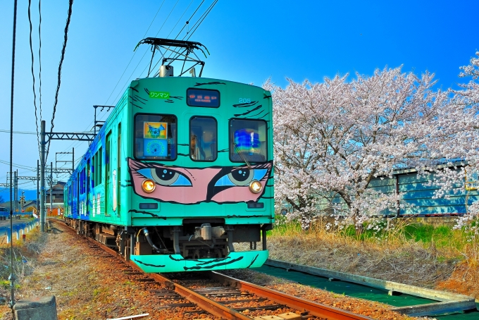 鉄道乗車記録の写真:乗車した列車(外観)(1)        「乗車した列車。伊賀鉄道200形205Fです。」