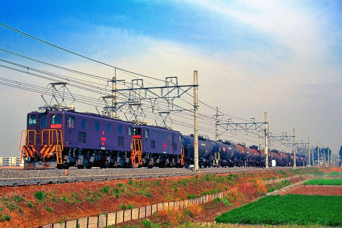鉄道乗車記録の写真:列車・車両の様子(未乗車)(3)     「ED50の重連けん引きの石油貨物列車です。
」
