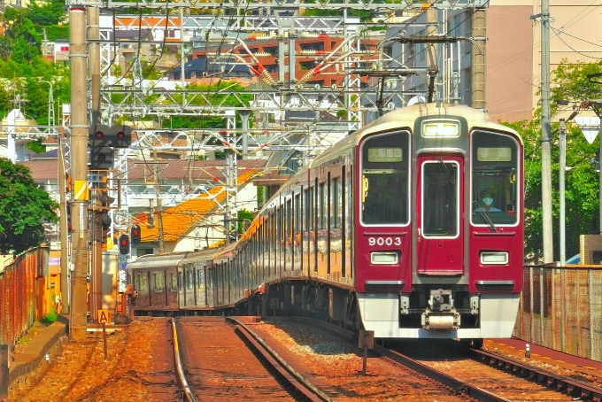 鉄道乗車記録の写真:乗車した列車(外観)(1)          「乗車した列車。9003Fです。9553に乗車しました。」