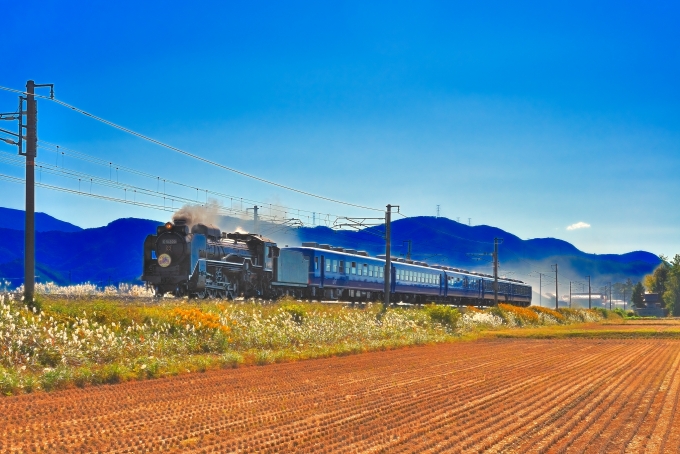 鉄道乗車記録の写真:列車・車両の様子(未乗車)(1)          「運行最終日のSL北びわこ号です。D51200がけん引き、経年の12系5両での運転でした。」