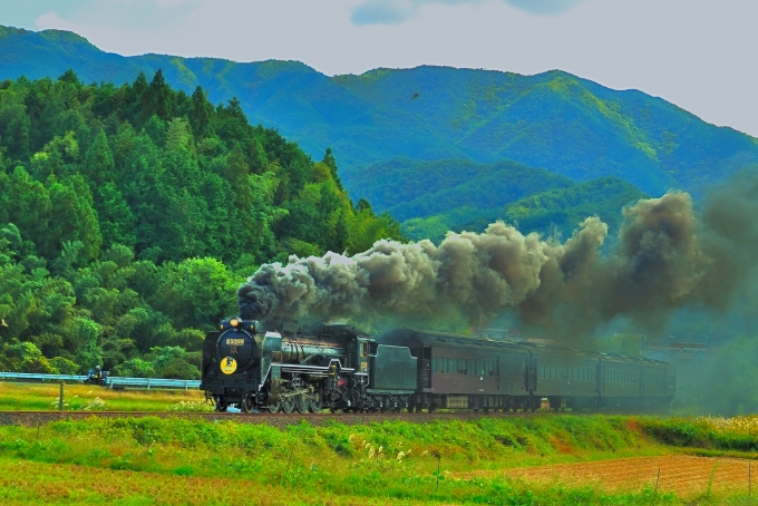 鉄道乗車記録の写真:列車・車両の様子(未乗車)(11)        「SLの撮影地でも有名な場所。」