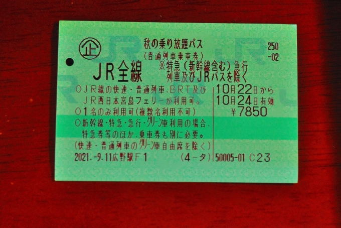 鉄道乗車記録の写真:きっぷ(12)        「駅名と撮影場所が異なります。」