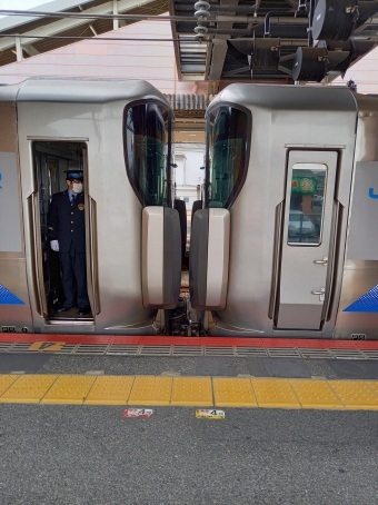 天王寺駅から日根野駅の乗車記録(乗りつぶし)写真
