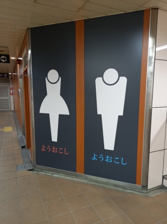 大日駅から東梅田駅の乗車記録(乗りつぶし)写真