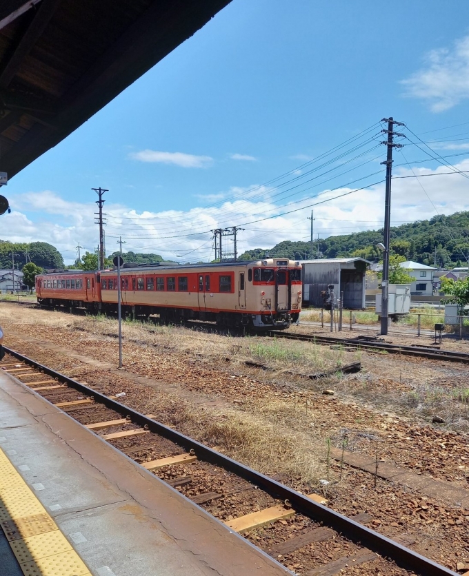鉄道乗車記録の写真:列車・車両の様子(未乗車)(3)        「国鉄急行色のノスタルジーと
思われます。」