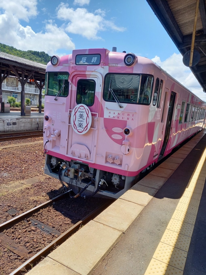 鉄道乗車記録の写真:列車・車両の様子(未乗車)(4)        「SAKU美SAKU楽（さくびさくら）
が到着」
