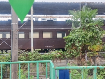 天理駅から平端駅:鉄道乗車記録の写真