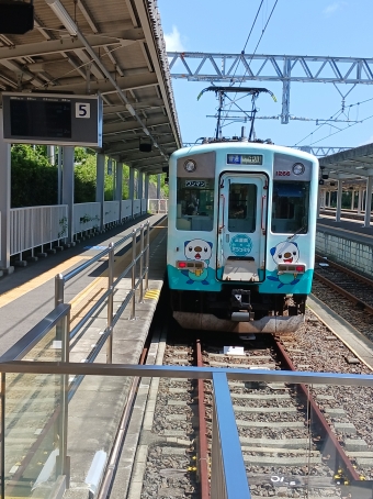 賢島駅から五十鈴川駅:鉄道乗車記録の写真