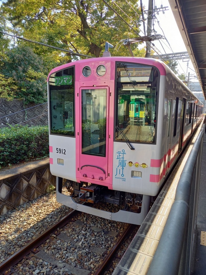 鉄道乗車記録の写真:乗車した列車(外観)(1)          「ピンク色の「トラッキー号」です」