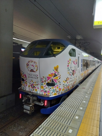 京都駅から関西空港駅:鉄道乗車記録の写真