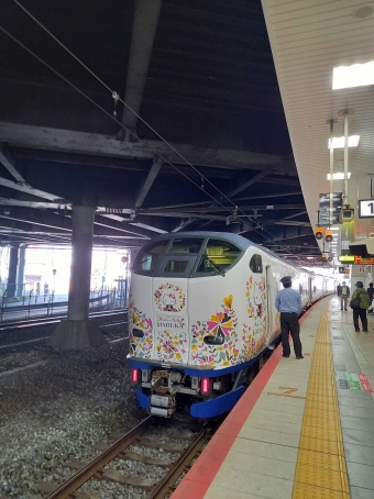 関西空港駅から新大阪駅の乗車記録(乗りつぶし)写真
