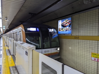 東池袋駅から永田町駅の乗車記録(乗りつぶし)写真