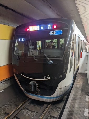 新板橋駅から大岡山駅の乗車記録(乗りつぶし)写真