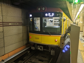 浅草駅から三越前駅の乗車記録(乗りつぶし)写真