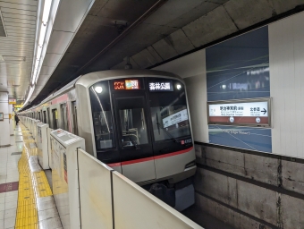 明治神宮前駅から和光市駅の乗車記録(乗りつぶし)写真