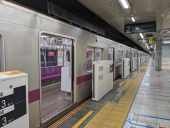 永田町駅から中央林間駅の乗車記録(乗りつぶし)写真