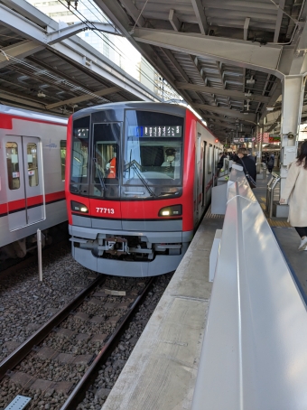 中目黒駅から日比谷駅の乗車記録(乗りつぶし)写真