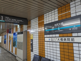 池尻大橋駅から二子玉川駅の乗車記録(乗りつぶし)写真