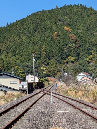 樽見駅から谷汲口駅の乗車記録(乗りつぶし)写真
