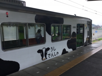 長津田駅からこどもの国駅の乗車記録(乗りつぶし)写真