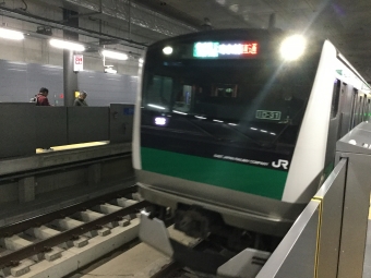 羽沢横浜国大駅から武蔵小杉駅の乗車記録(乗りつぶし)写真