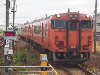 能町駅から高岡駅の乗車記録(乗りつぶし)写真