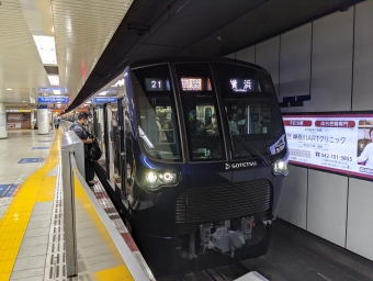 大和駅から横浜駅の乗車記録(乗りつぶし)写真