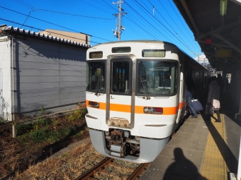 興津駅から鷲津駅の乗車記録(乗りつぶし)写真
