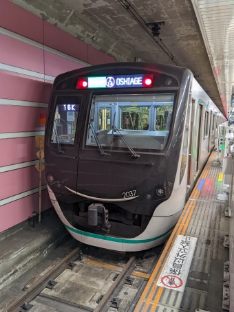 中央林間駅からあざみ野駅の乗車記録(乗りつぶし)写真