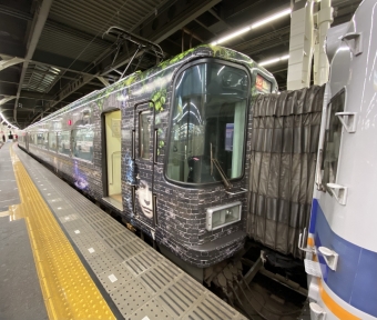 泉佐野駅から難波駅の乗車記録(乗りつぶし)写真