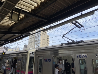 調布駅から東府中駅の乗車記録(乗りつぶし)写真