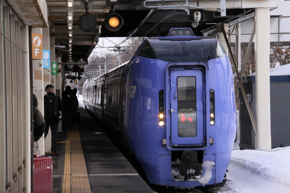 鉄道乗車記録「南千歳駅から釧路駅」乗車した列車(外観)の写真(1) by さいさい 撮影日時:2022年02月28日