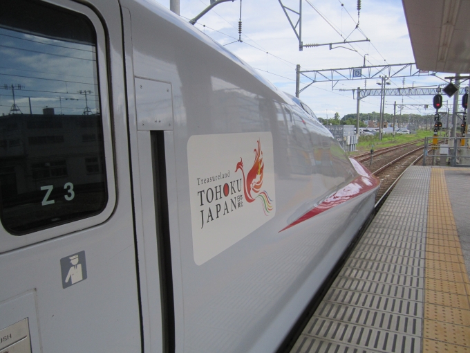 鉄道乗車記録の写真:乗車した列車(外観)(3)        「秋田新幹線E621-3の側面」