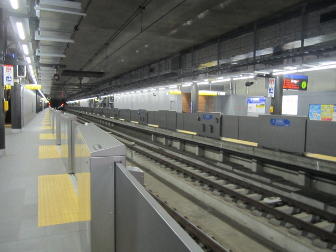 鉄道乗車記録の写真:駅舎・駅施設、様子(2)        「羽沢横浜国大駅 プラットホーム」