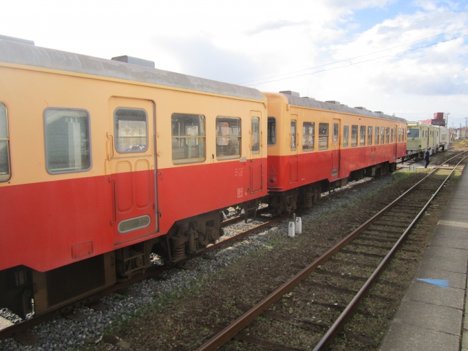 鉄道乗車記録の写真:列車・車両の様子(未乗車)(6)        「キハ206とキハ200」