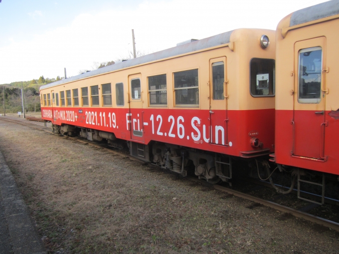 鉄道乗車記録の写真:乗車した列車(外観)(9)        「小湊鉄道キハ213の側面」