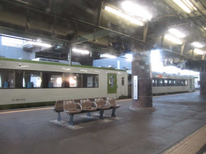 鉄道乗車記録の写真:列車・車両の様子(未乗車)(5)        「キハ111-114側面」
