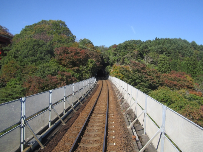 鉄道乗車記録の写真:車窓・風景(14)        「大沢橋梁」