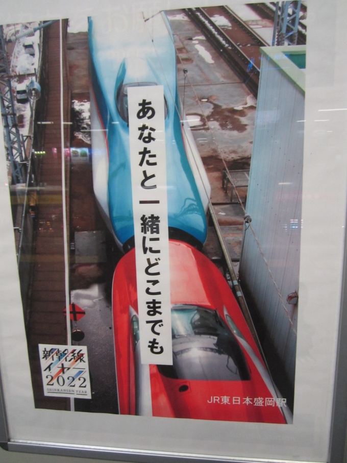 鉄道乗車記録の写真:駅舎・駅施設、様子(5)     「こまち＆はやぶさ連結ポスター」