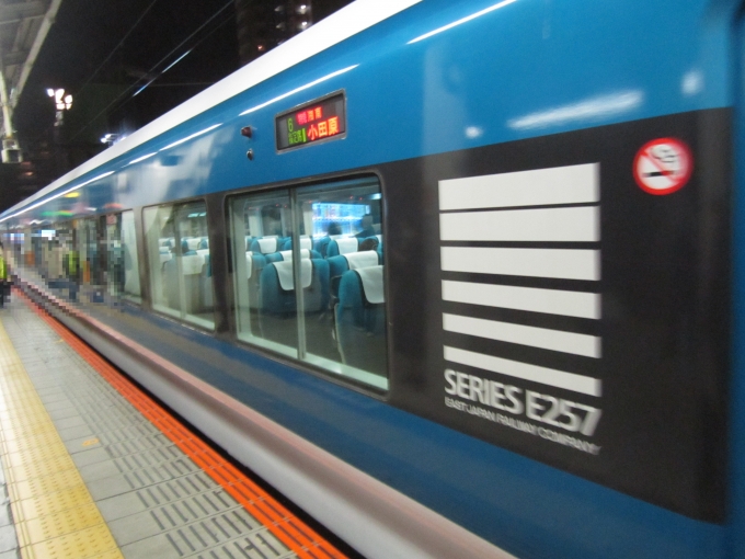 鉄道乗車記録の写真:乗車した列車(外観)(3)        「「特急湘南11号」の側面」
