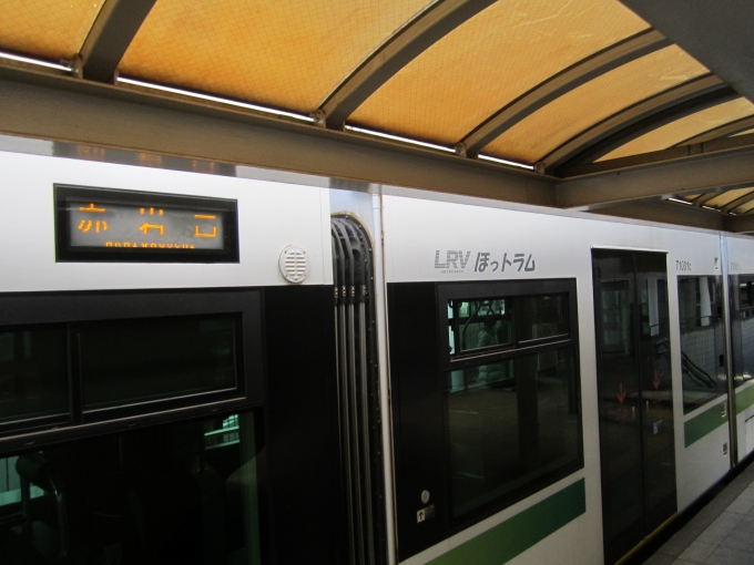 鉄道乗車記録の写真:乗車した列車(外観)(6)     「T1001B車両の側面」
