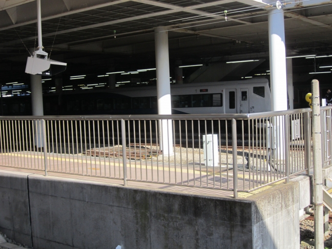 鉄道乗車記録の写真:列車・車両の様子(未乗車)(1)        「隣のJR線ホームに停車するE257系(踊り子号)」