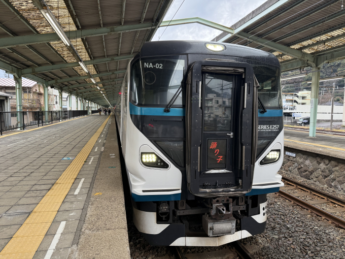 ホーロー 東京-伊豆急下田 ホーロー板 行先板 東京⇔伊豆急下田