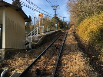 梅屋敷駅から生駒山上駅の乗車記録(乗りつぶし)写真