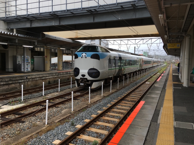 鉄道乗車記録の写真:列車・車両の様子(未乗車)(1)          「パンダくろしお」