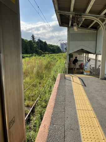 大川駅から国道駅の乗車記録(乗りつぶし)写真