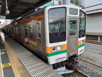 佐野駅から栃木駅の乗車記録(乗りつぶし)写真