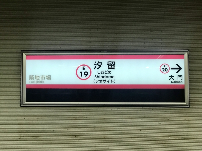 鉄道乗車記録の写真:駅名看板(4)        「汐留駅を出発」